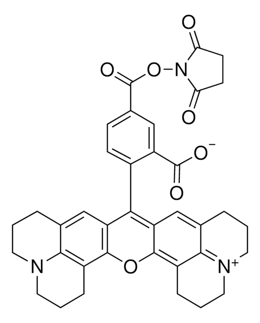 5-カルボキシ-X-ローダミン N-サクシンイミジルエステル BioReagent, suitable for fluorescence