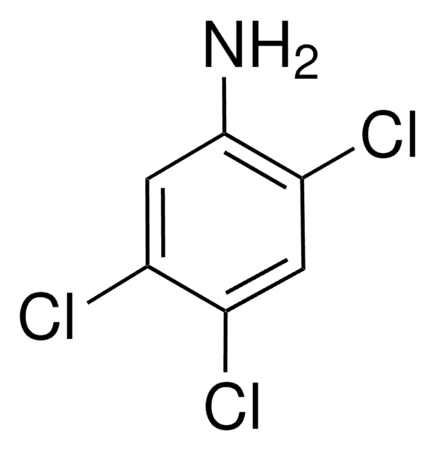 2,4,5-Trichloroanilin 95%