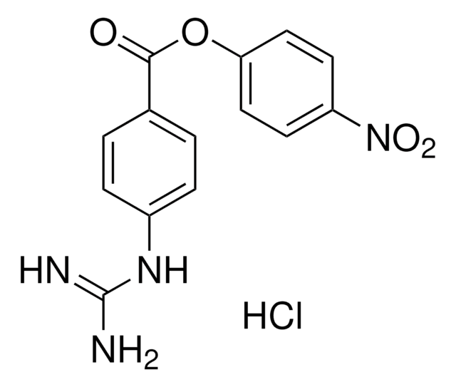 4-Nitrophenyl 4-guanidinobenzoate hydrochloride protease inhibitor and substrate