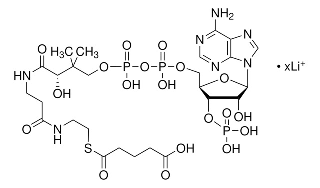 戊二酰辅酶A 锂盐 &#8805;90%