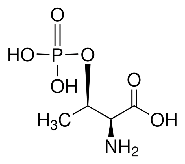 O-磷酸- L -苏氨酸 certified reference material, TraceCERT&#174;, Manufactured by: Sigma-Aldrich Production GmbH, Switzerland