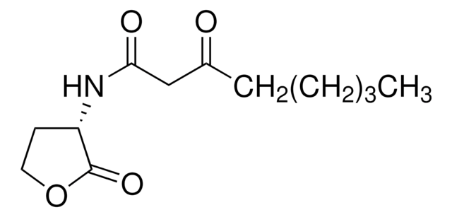 N-(3-オキソオクタノイル)-L-ホモセリンラクトン &#8805;97% (HPLC), white, powder