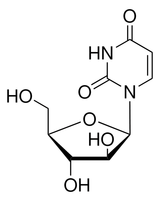 ウラシル 1-&#946;-D-アラビノフラノシド lymphoma antiproliferative