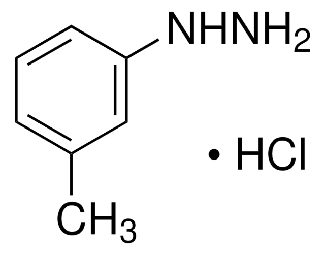 m-Tolylhydrazin -hydrochlorid 99%