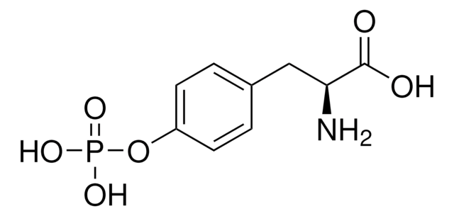 O-Phospho-L-Tyrosin certified reference material, TraceCERT&#174;, Manufactured by: Sigma-Aldrich Production GmbH, Switzerland