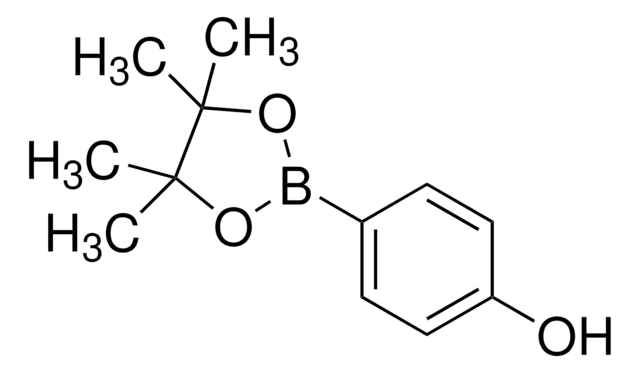 4-ヒドロキシフェニルボロン酸ピナコールエステル 97%