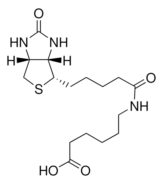 N-(+)-ビオチニル-6-アミノヘキサン酸 &#8805;97.0% (HPLC)