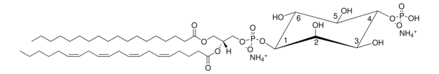 Brain PI(4)P Avanti Research&#8482; - A Croda Brand 840045X