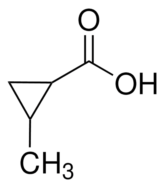 2-メチルシクロプロパンカルボン酸 98%