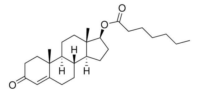 Testosteronenantat für die Peakidentifizierung European Pharmacopoeia (EP) Reference Standard