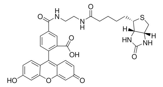 ビオチン(5-フルオレセイン)複合体 BioReagent, suitable for fluorescence, &#8805;90% (HPCE)