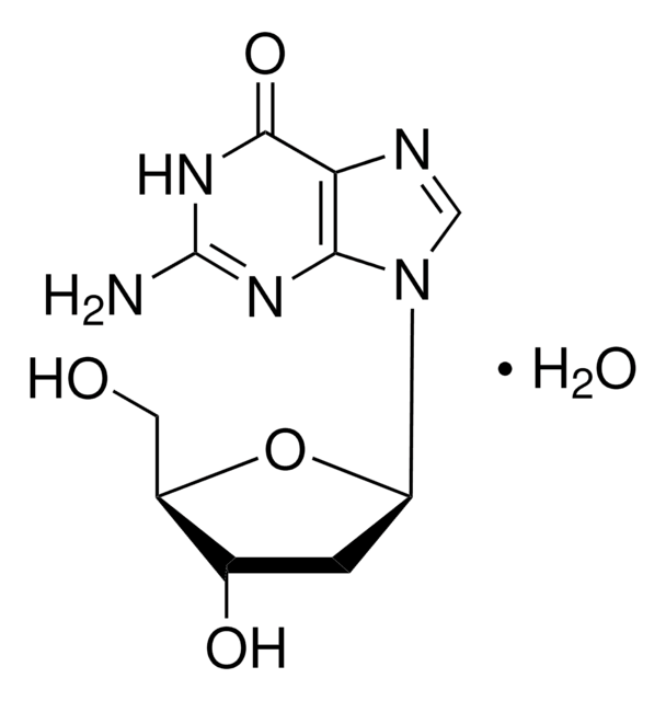 2&#8242;-デオキシグアノシン 一水和物 powder, BioReagent, suitable for cell culture, 99-100%