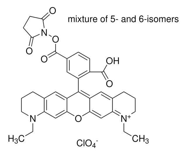 Atto 565 NHSエステル BioReagent, suitable for fluorescence, &#8805;90% (HPLC)