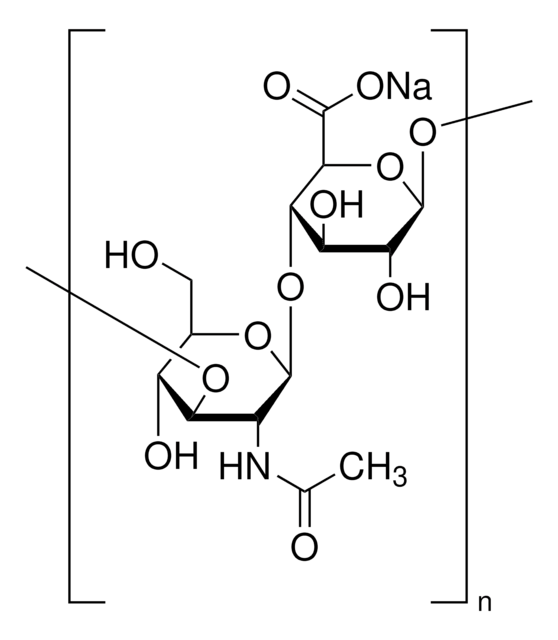 Hyaluronsäure Natriumsalz aus Streptococcus equi sp. bacterial glycosaminoglycan polysaccharide