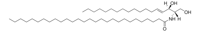 C28:0 Ceramide Avanti Polar Lipids