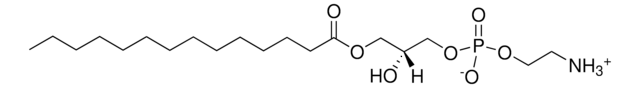 14:0 Lyso PE 1-myristoyl-2-hydroxy-sn-glycero-3-phosphoethanolamine, powder