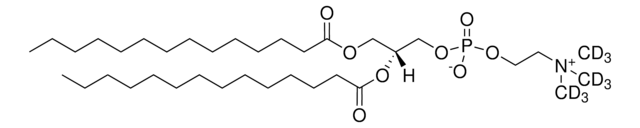 14:0 PC-d9 1,2-dimyristoyl-sn-glycero-3-phosphocholine-N,N,N-trimethyl-d9, powder