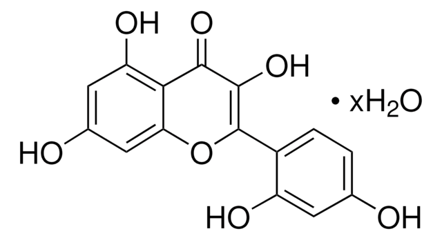 Morin Hydrat powder