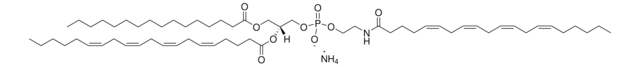 16:0-20:4 PE-N-20:4 Avanti Research&#8482; - A Croda Brand 872101C