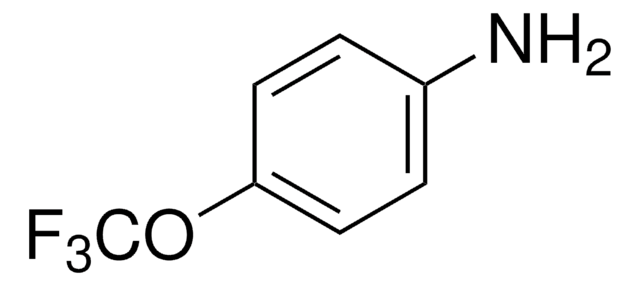 4-(Trifluormethoxy)-anilin 98%