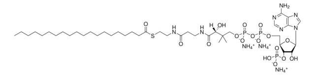 20:0 Coenzyme A Avanti Research&#8482; - A Croda Brand 870720P, powder