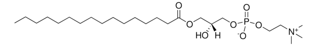 1-十六酰-SN-丙三醇-磷酸胆碱 1-palmitoyl-2-hydroxy-sn-glycero-3-phosphocholine, chloroform