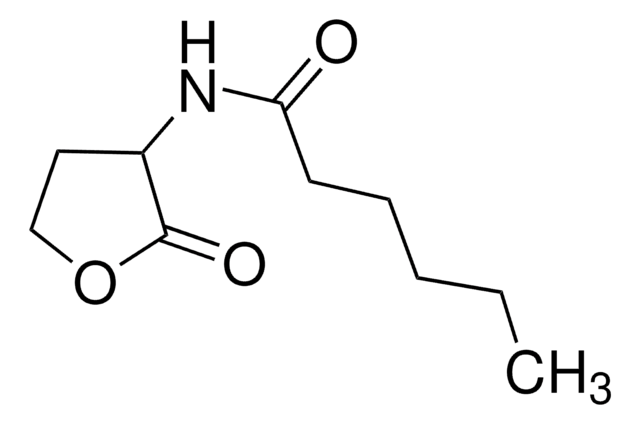 N-ヘキサノイル-DL-ホモセリンラクトン &#8805;97.0% (HPLC)