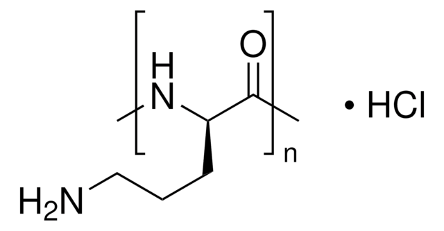 ポリ-L-オルニチン 塩酸塩 mol wt 15,000-30,000