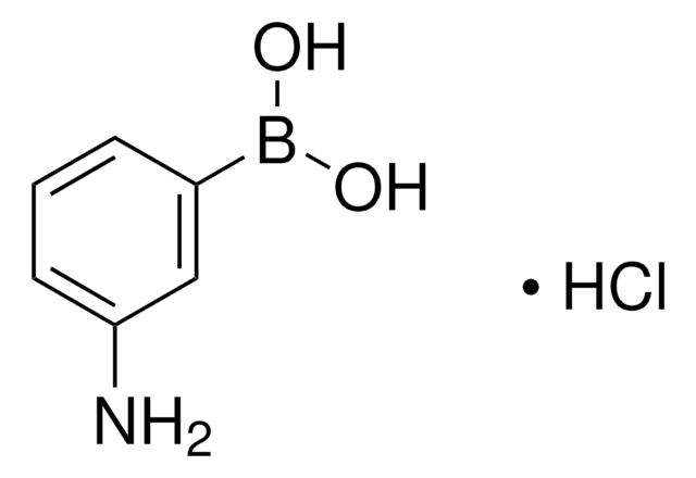 3-Aminophenylborsäure -hydrochlorid 98%