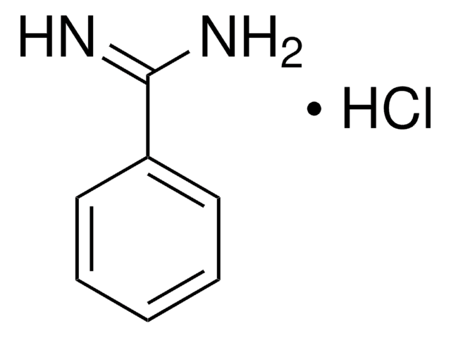 Benzamidin -hydrochlorid 99%