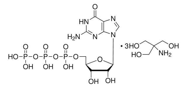 Guanosin-5&#8242;-triphosphat Tris-salz &#8805;93% (HPLC), powder