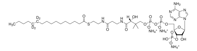 16：0（d4）辅酶A Avanti Research&#8482; - A Croda Brand, powder