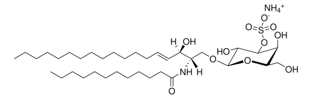 C12 Mono-Sulfo Galactosyl(&#946;) Ceramide (d18:1/12:0) Avanti Research&#8482; - A Croda Brand 860573P, powder