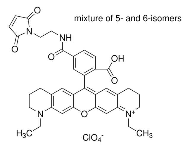 Atto 565 マレイミド BioReagent, suitable for fluorescence