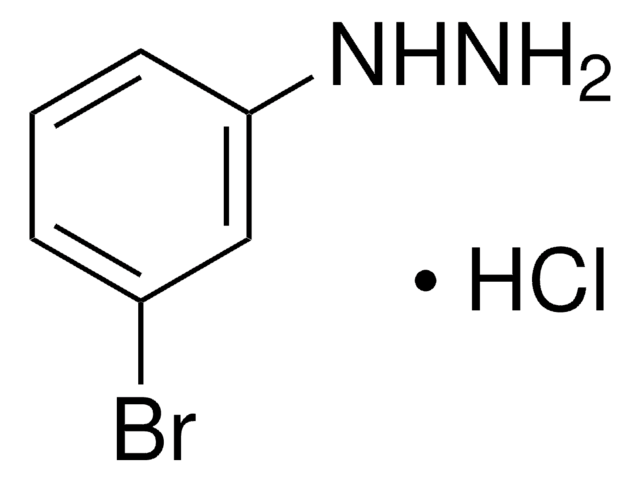 3-Bromphenylhydrazin -hydrochlorid 98%