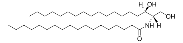 C18 Dihydroceramide (d18:0/18:0) Avanti Research&#8482; - A Croda Brand 860627P, powder