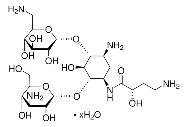 アミカシン 水和物 aminoglycoside antibiotic