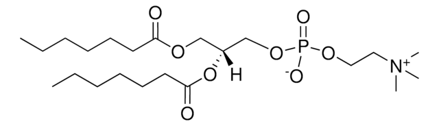 07:0 PC (DHPC) 1,2-diheptanoyl-sn-glycero-3-phosphocholine, chloroform