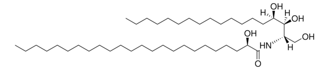 N-24:0 (2R-OH) 植物鞘氨醇 Avanti Research&#8482; - A Croda Brand 860924P, powder