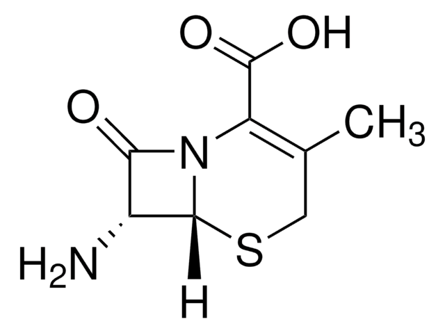 7-氨基去乙酰氧基头孢烷酸