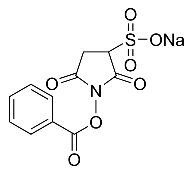 Benzoesäure-(3-sulfo-N-succinimidyl)-ester Natriumsalz &#8805;99% (HPLC)