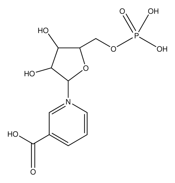 烟酸单核苷酸