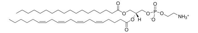 ハートPE Avanti Research&#8482; - A Croda Brand 840025P, powder