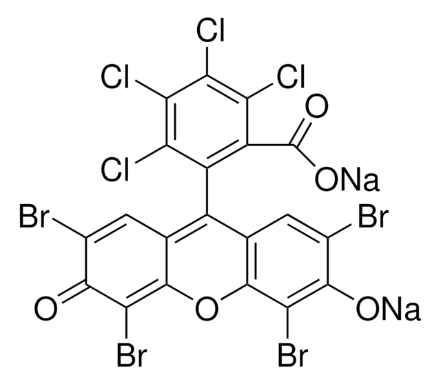 フロキシンB antibacterial fluorescent dye