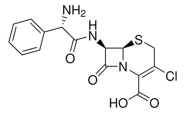 头孢克洛 British Pharmacopoeia (BP) Reference Standard