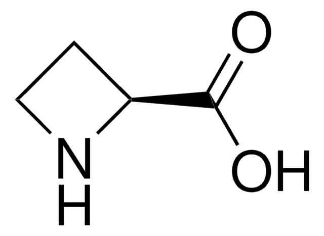 L-Azetidin-2-Carboxylsäure &#8805;99%