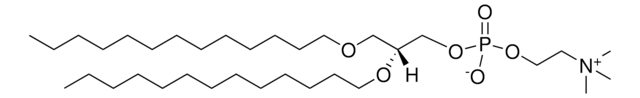 13:0 Diether PC Avanti Research&#8482; - A Croda Brand 999988P, powder