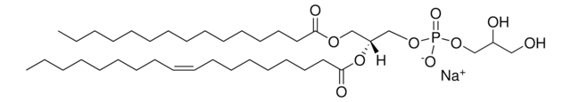 15:0-18:1 PG Avanti Research&#8482; - A Croda Brand