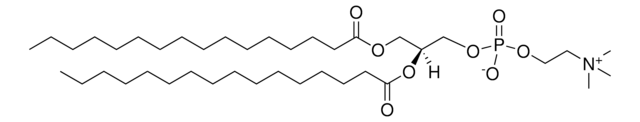 Ent-DPPC Avanti Polar Lipids