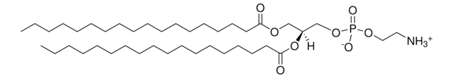 Ent-DSPE Avanti Research&#8482; - A Croda Brand